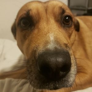 Oh no! You just missed it!